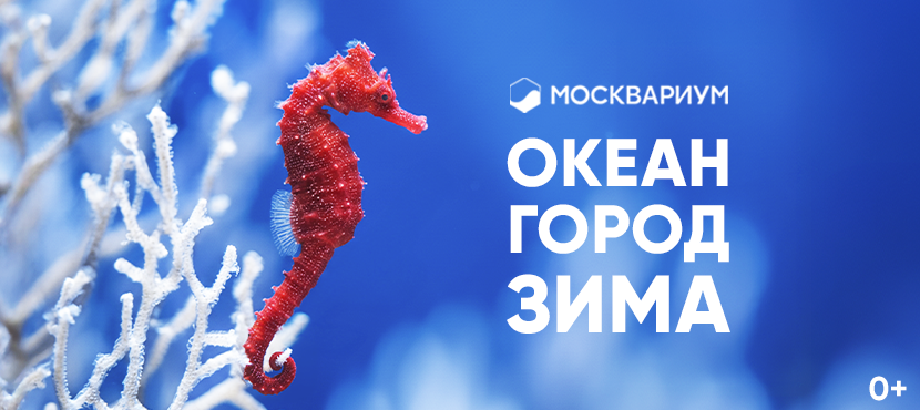 Центр океанографии и морской биологии Москвариум