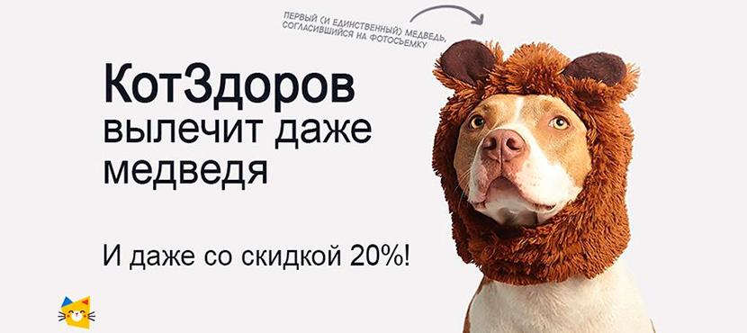 Круглосуточная ветеринарная онлайн-помощь КотЗдоров