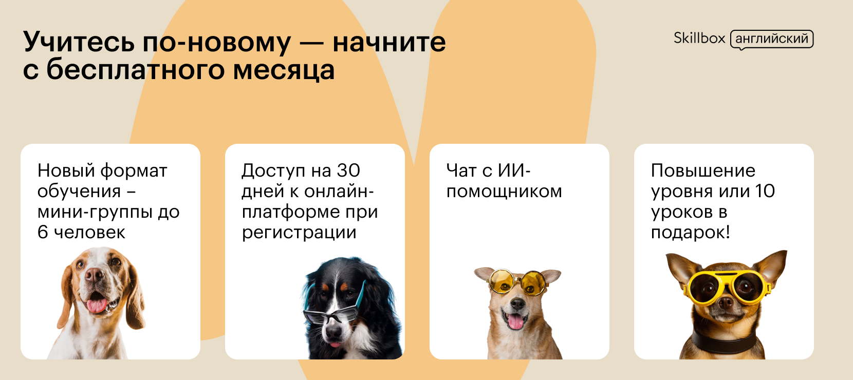 Онлайн-школа английского Skillbox