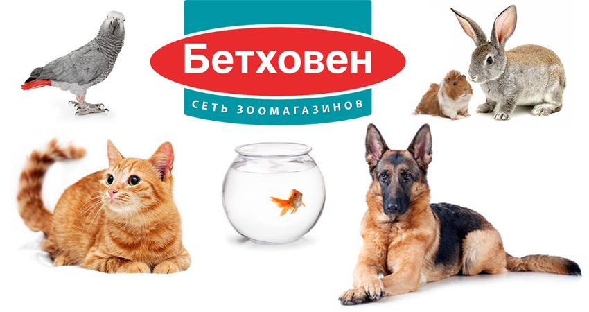 Зоомагазин Бетховен